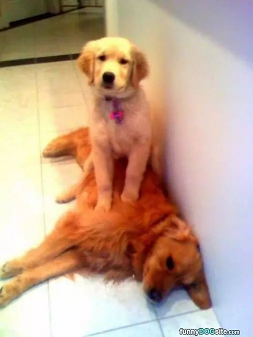 I Like My New Bed