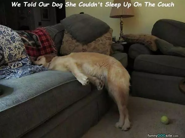 No Sleeping On The Couch
