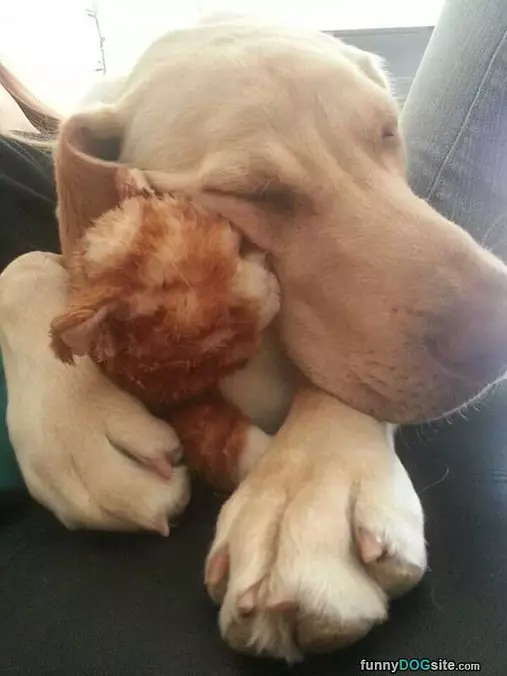Having A Sleepy Day