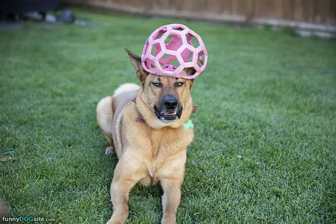 Helmet
