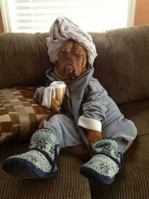 Snuggled Up