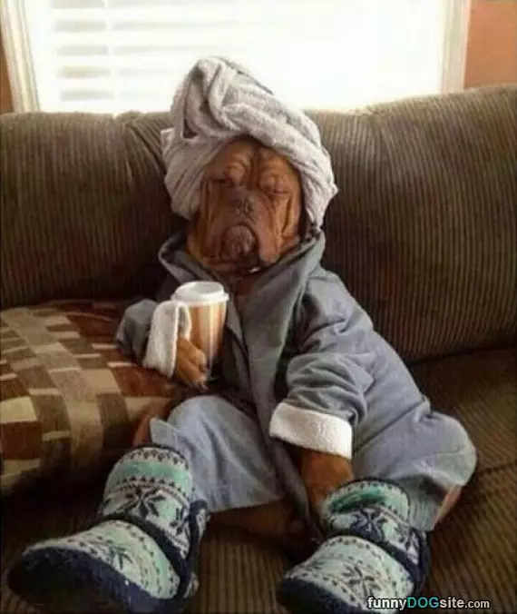 Lazy Day