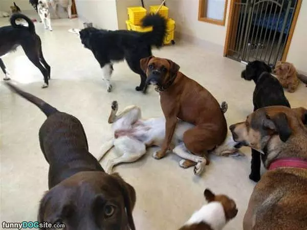 Found A Place To Sit