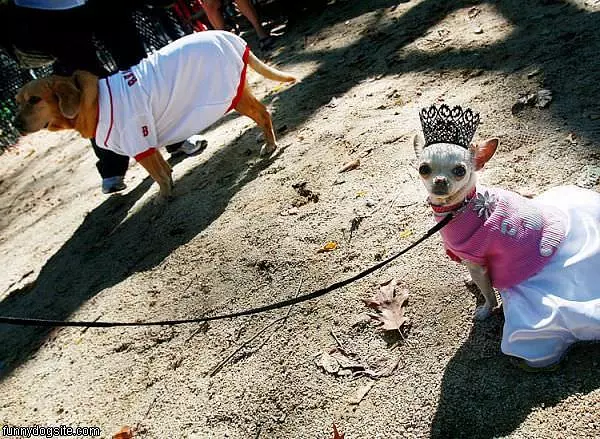 Princess