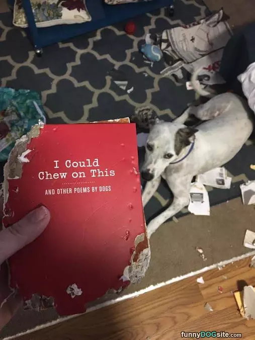 I Could Chew On This