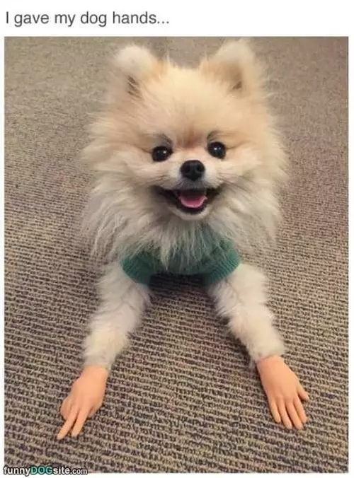 Has Some Hands