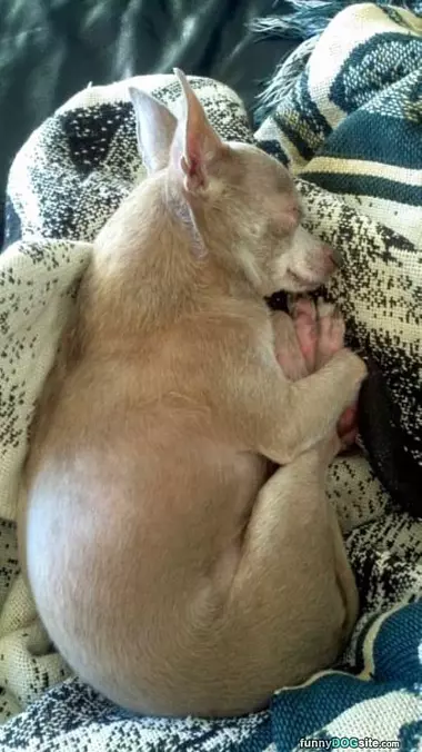 Cozy Sleeping