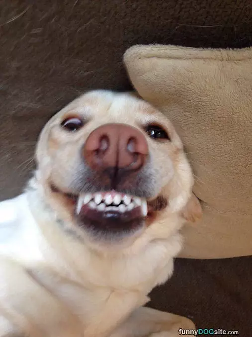 You Are A Funny Guy