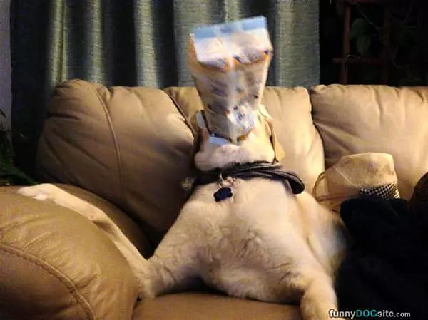 Every Last Drop