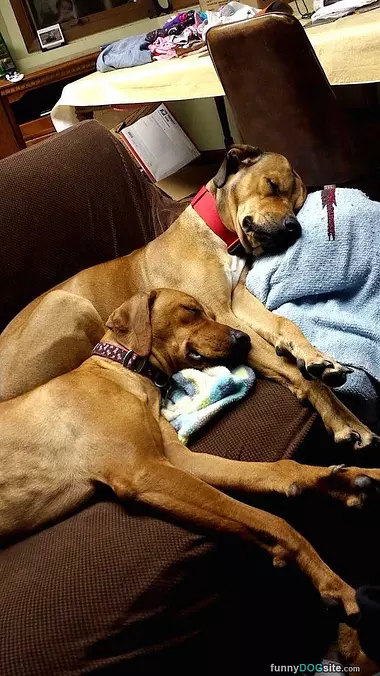 Together On The Couch