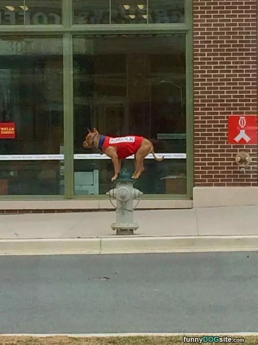 Just Hanging Out