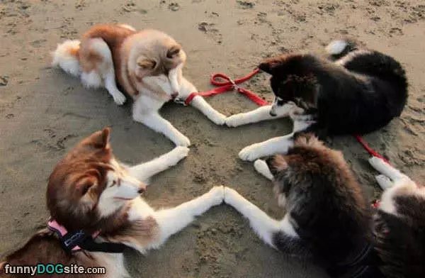 Playing In The Beach