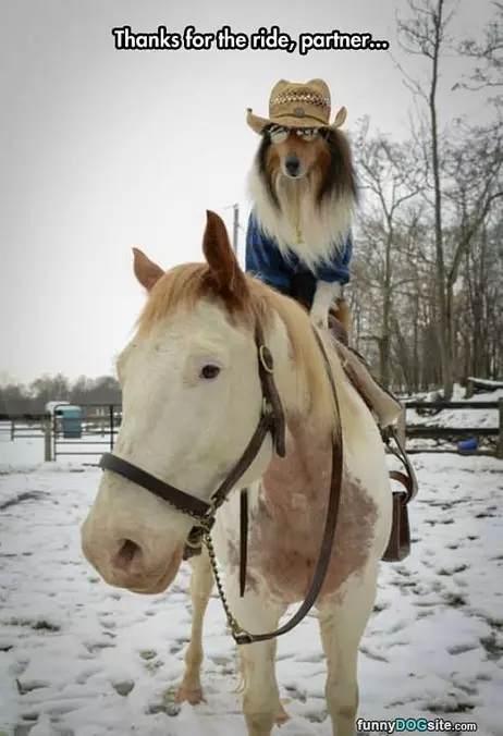 Thanks For The Ride
