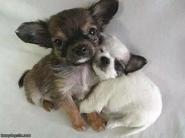 Hug
