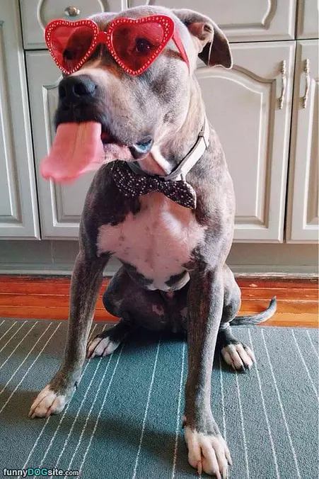 Garrrrrr