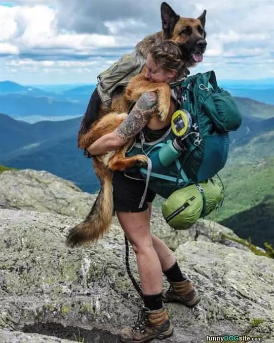 I Need To Be Carried