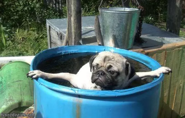 Im Just Chillin In The Pool