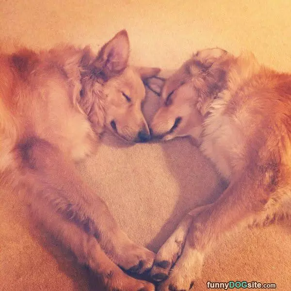 Sleepy Together