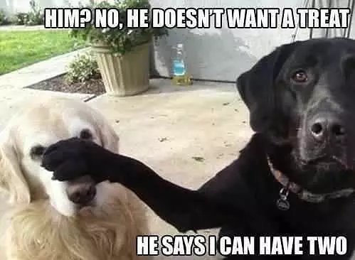 No Treats For Him