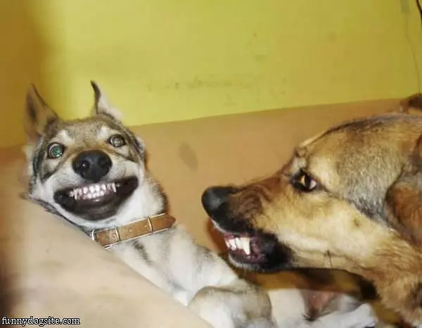 Growly Smiles