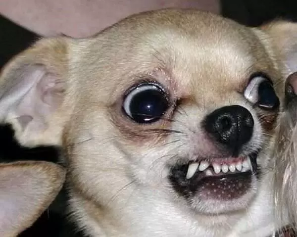 Whuuuuuu