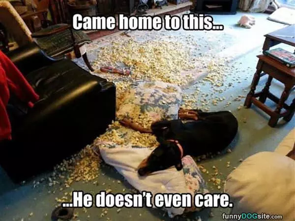 Come Home To This