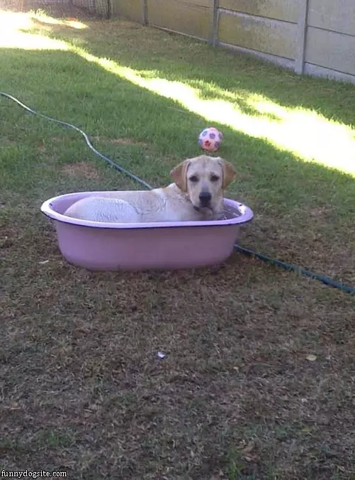 I Love The Bath
