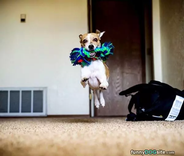 I Am Flying