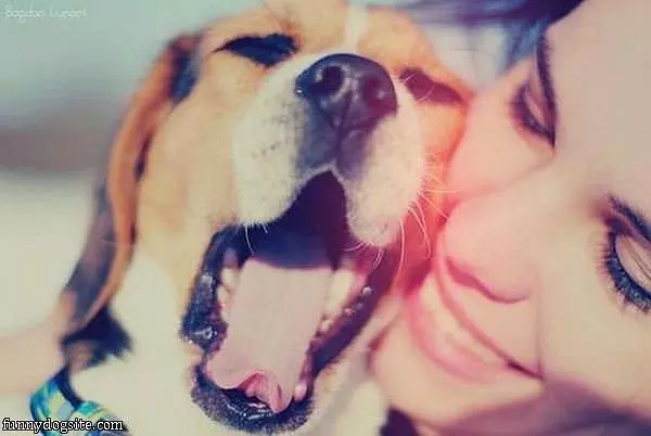 Yawwwwn
