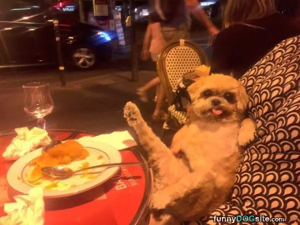 Look At My Leg
