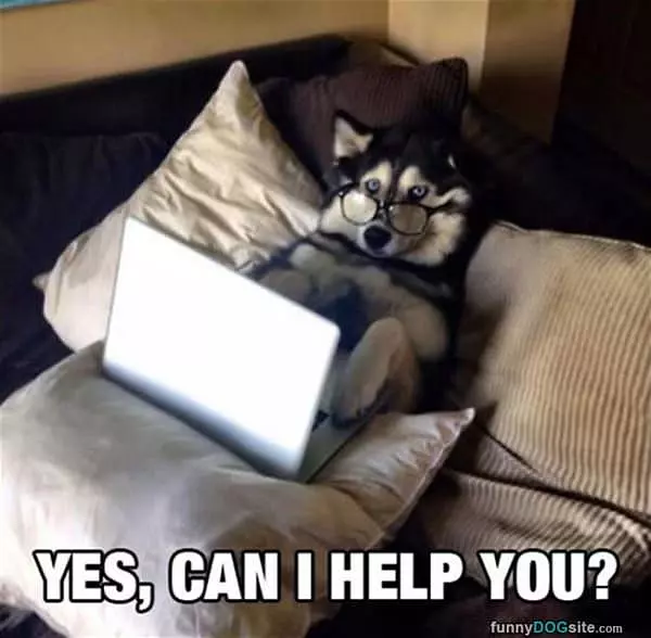 Yes Can I Help You