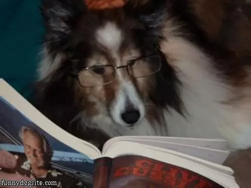 Chester Reading