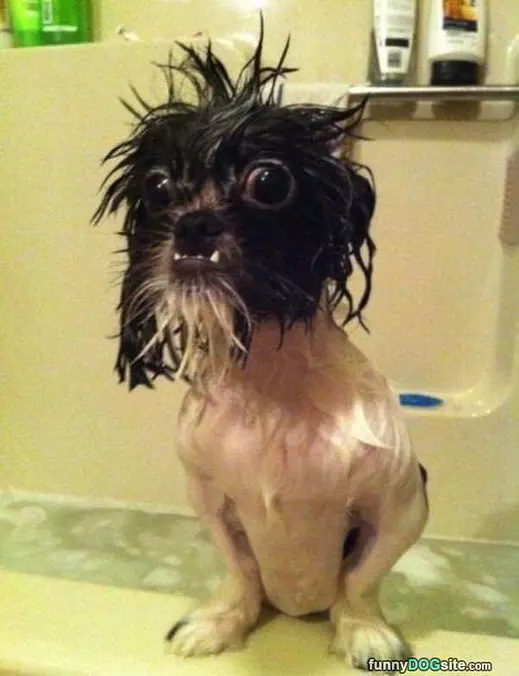 Just A Bath