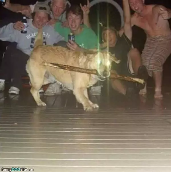 Quite The Party