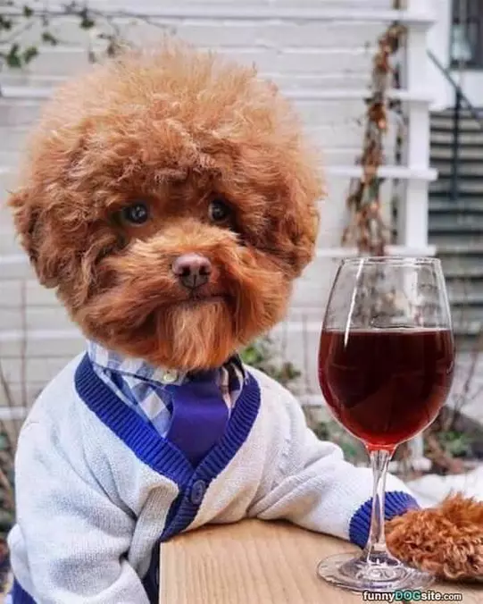 Cheers Everyone