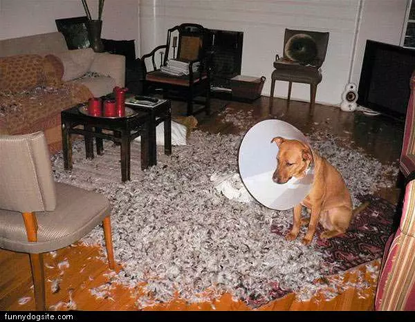 That Didnt Help
