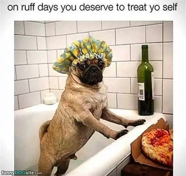 A Ruff Day