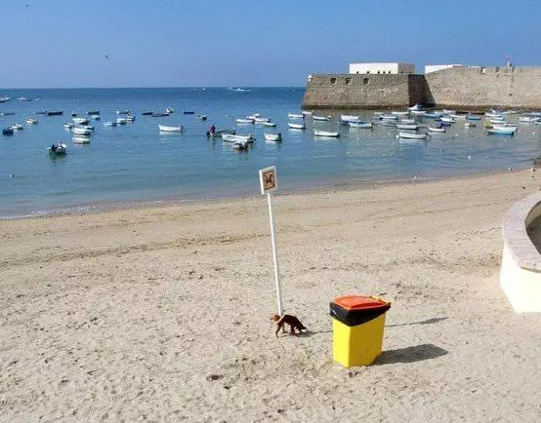 Dog Doing His Job