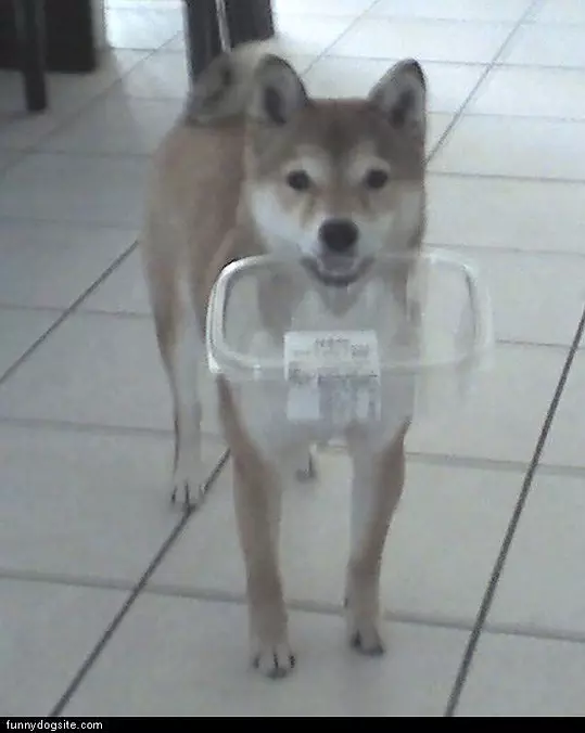 Dinner Time Please