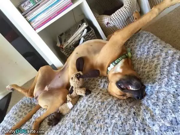 Laying On My Back