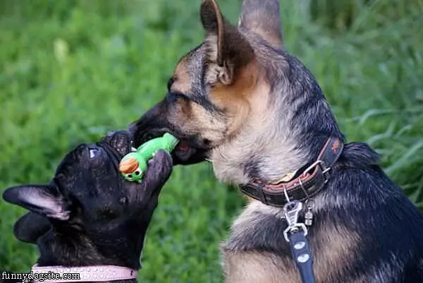Let Go No You Let Go