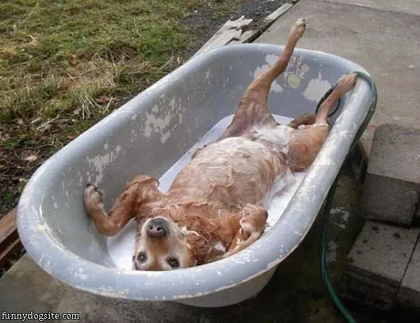 This Is Mah Bath