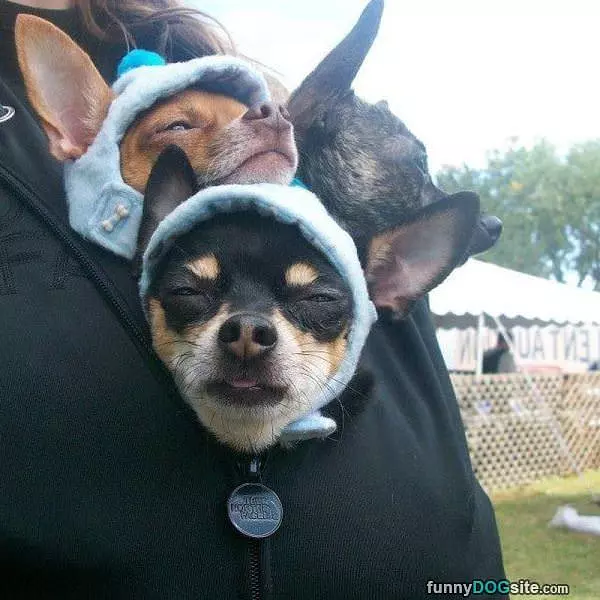We Are Staying Warm