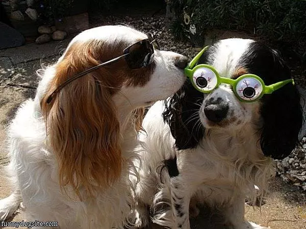 Nice Glasses