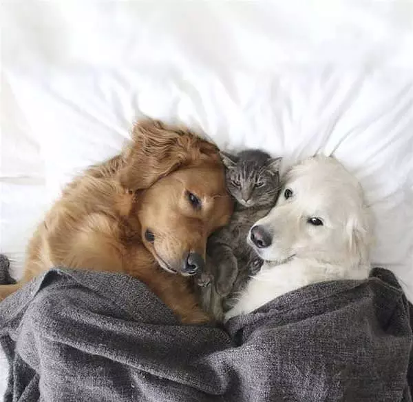 We All Hug It Out