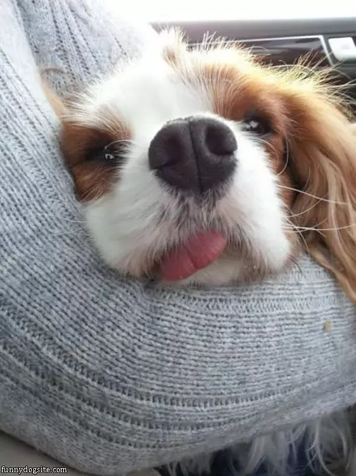 Just Relaxing Here