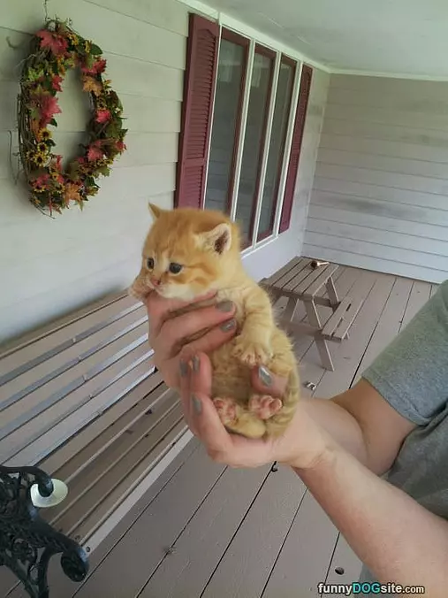 One Handful