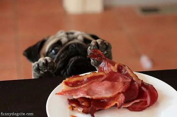 I Loves Me Some Bacon