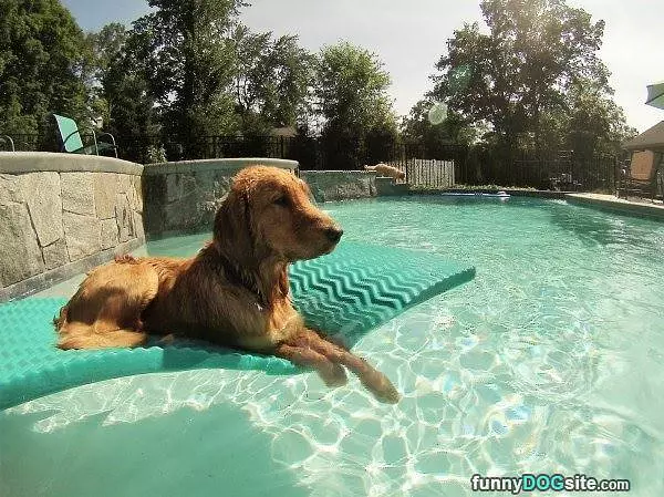 Chilling In The Pool