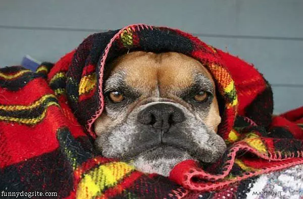 Its Cold Out Here